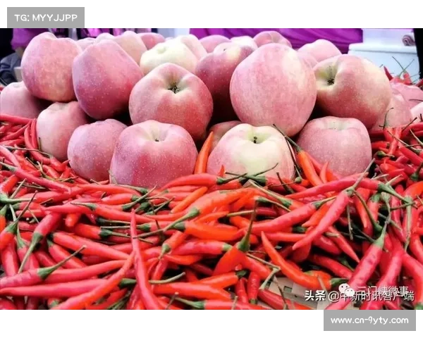 灵宝农民篮球联赛带动乡村经济,摊贩销售额较平日翻倍